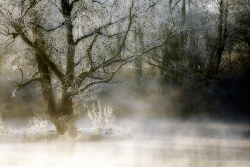 100 fotos increíbles de la niebla (parte 1)