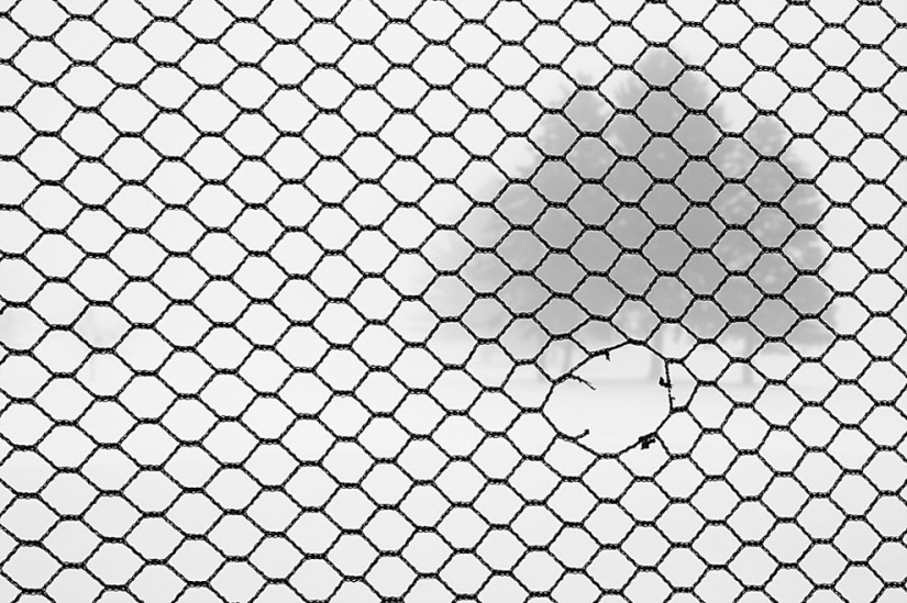 100 fotos increíbles de la niebla (parte 1)