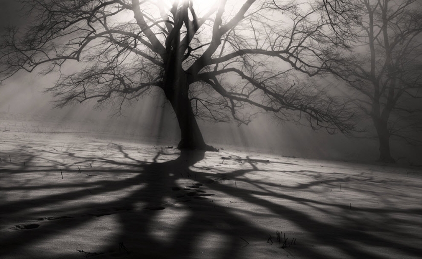 100 fotos increíbles de la niebla (parte 1)