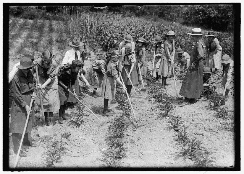 105th Anniversary of the Boy Scouts of America