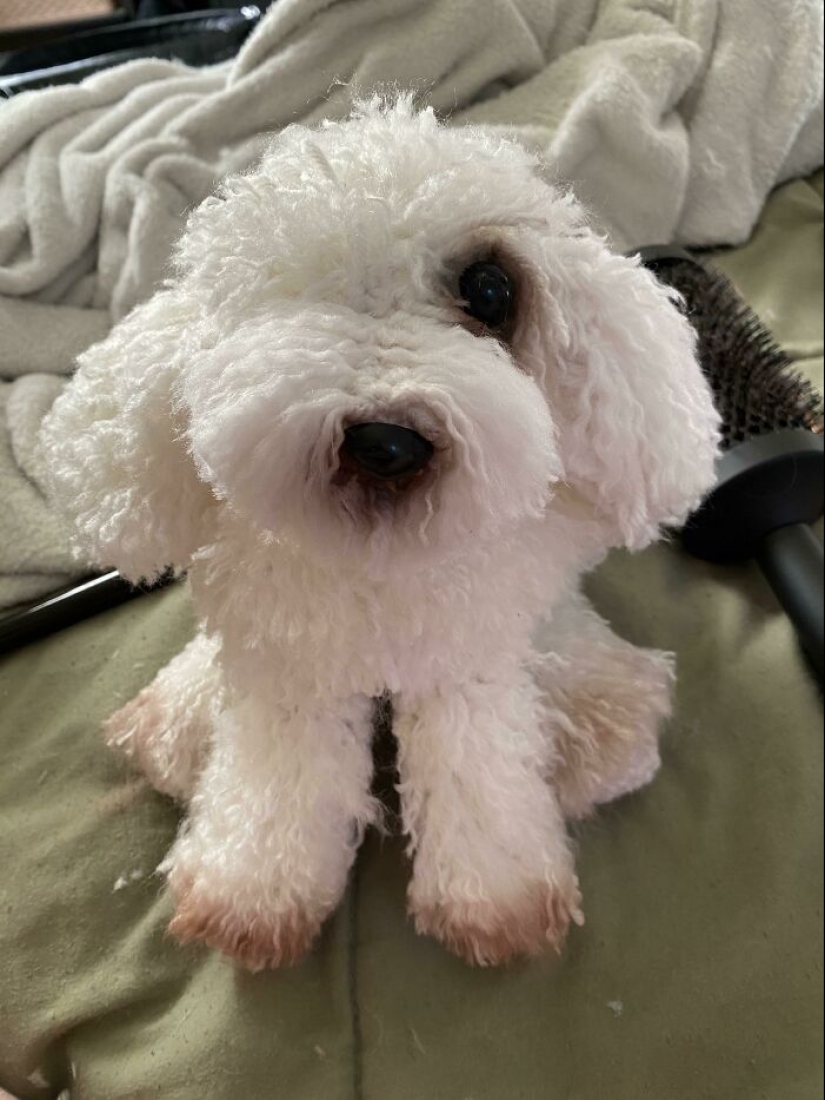 11 Crochet Enthusiasts Shared Their Most Beautiful Works In This Community 11 Crochet Enthusiasts Shared Their Most Beautiful Works In This Community