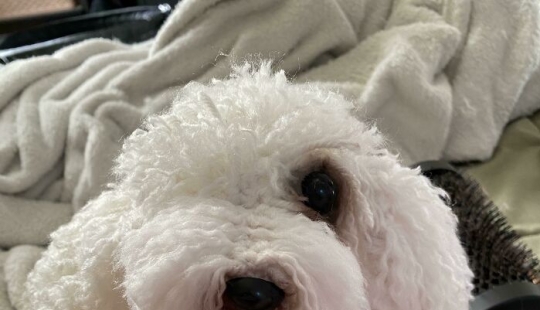 11 Crochet Enthusiasts Shared Their Most Beautiful Works In This Community 11 Crochet Enthusiasts Shared Their Most Beautiful Works In This Community