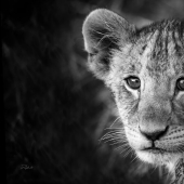 11 misterios antiguos que los investigadores aún no pueden explicar