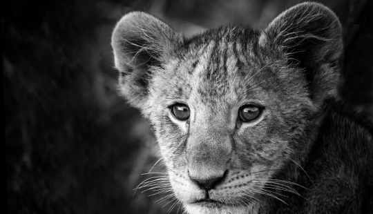 11 misterios antiguos que los investigadores aún no pueden explicar