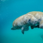 11 Strange And Surprising Facts That You Probably Didn’t Know