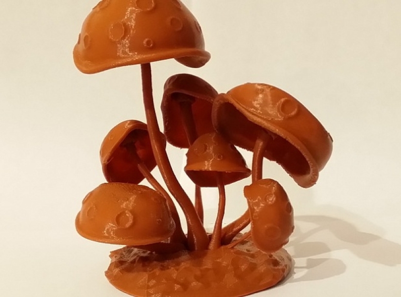 12 absolutely absurd things that can be printed on a 3D printer 12 absolutely absurd things that can be printed on a 3D printer