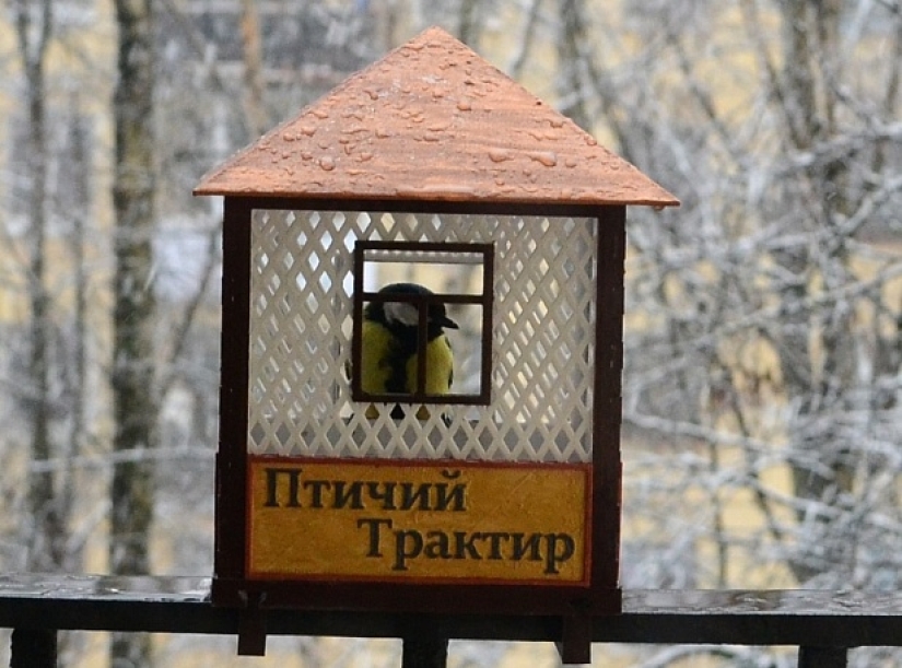 12 absolutely absurd things that can be printed on a 3D printer 12 absolutely absurd things that can be printed on a 3D printer