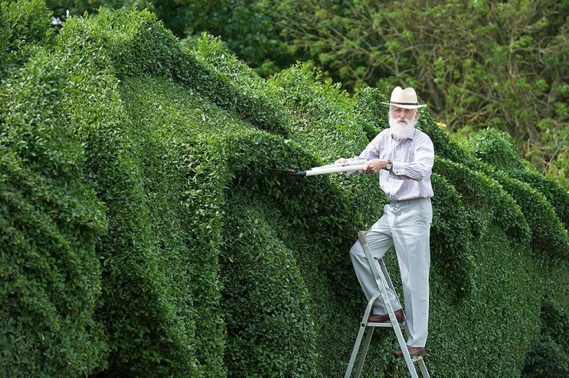 12 art projects we admired in 2015