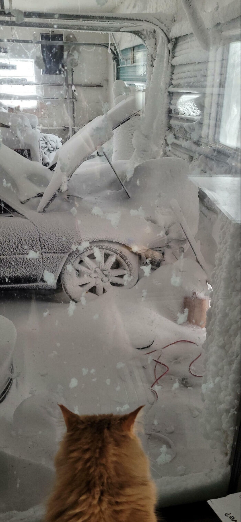 12 Crazy Pics Of Mother Nature Doing Things On Its Own Terms