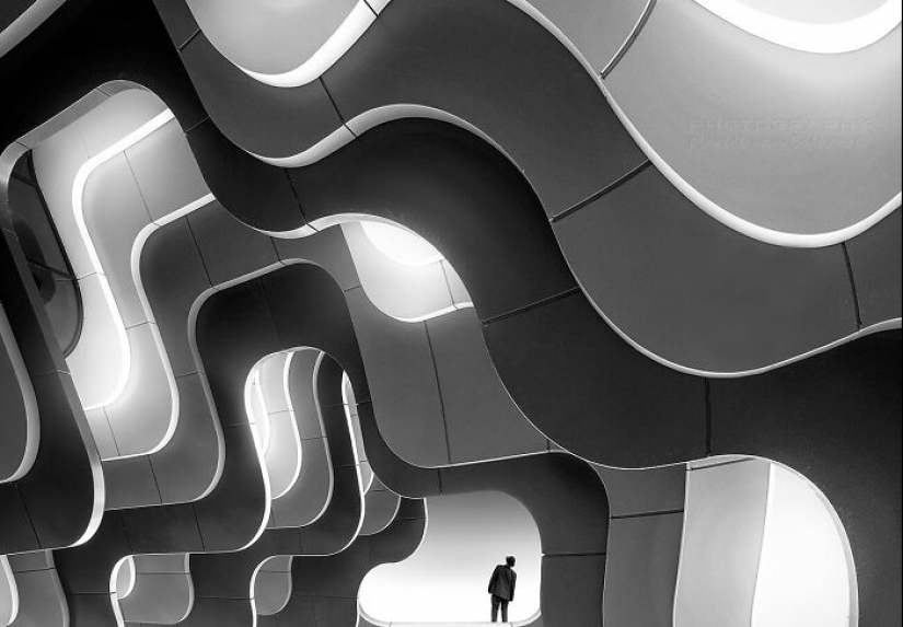 12 fotógrafos talentosos que ganaron los premios de la revista AAP: "Formas"