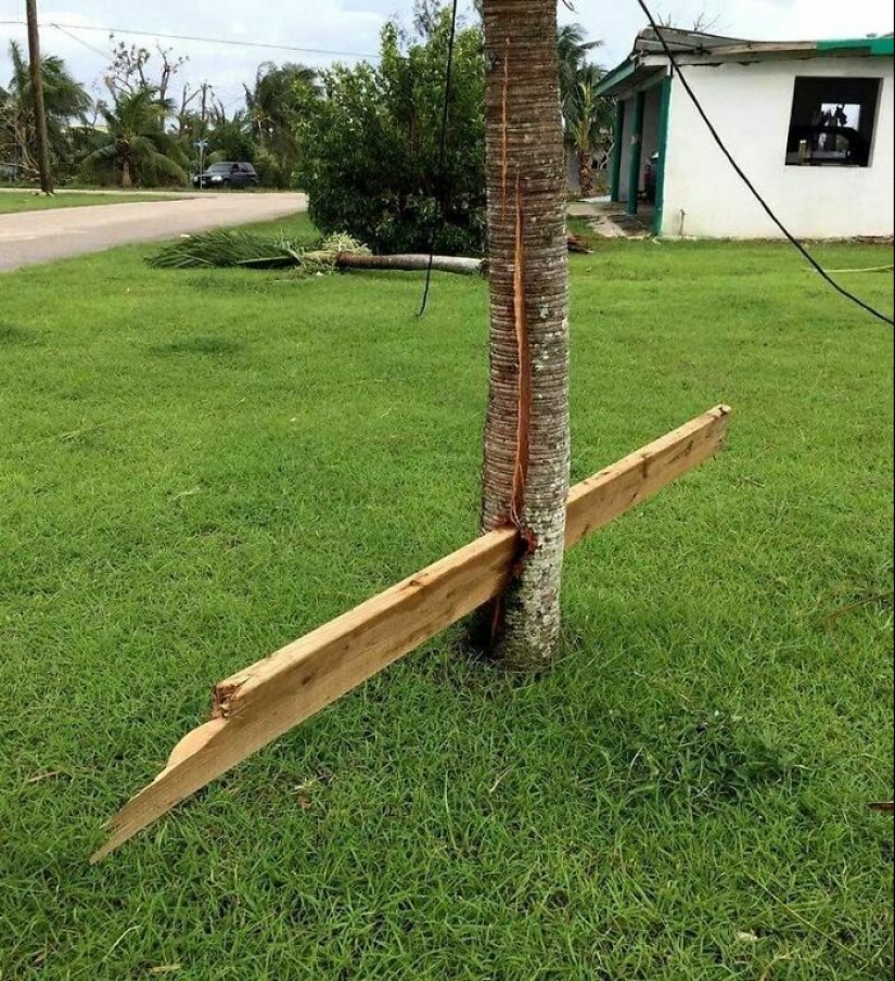 12 fotografías locas de la madre naturaleza haciendo las cosas en sus propios términos