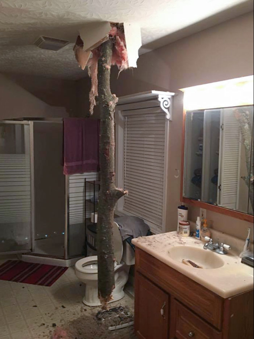 12 fotografías locas de la madre naturaleza haciendo las cosas en sus propios términos