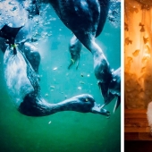 12 fotos de rara belleza que puedes mirar durante horas