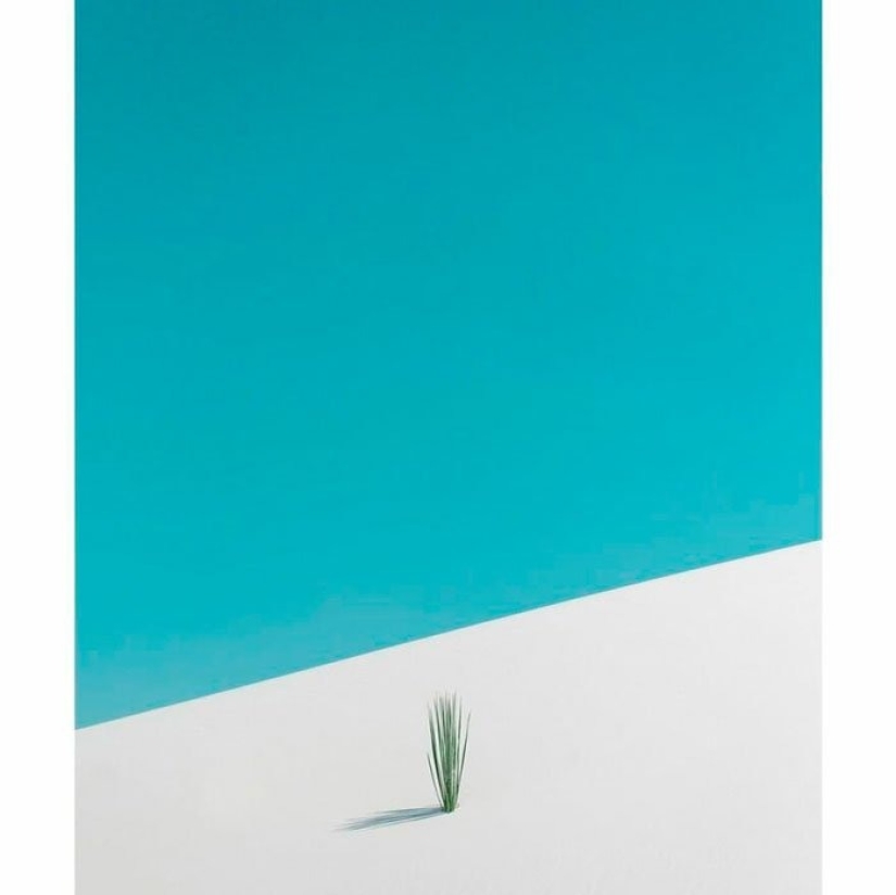 12 fotos de rara belleza que puedes mirar durante horas