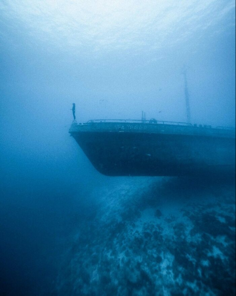 12 Frightening Pics That Make Us Want To Stay As Far Away From The Ocean As Possible 12 Frightening Pics That Make Us Want To Stay As Far Away From The Ocean As Possible