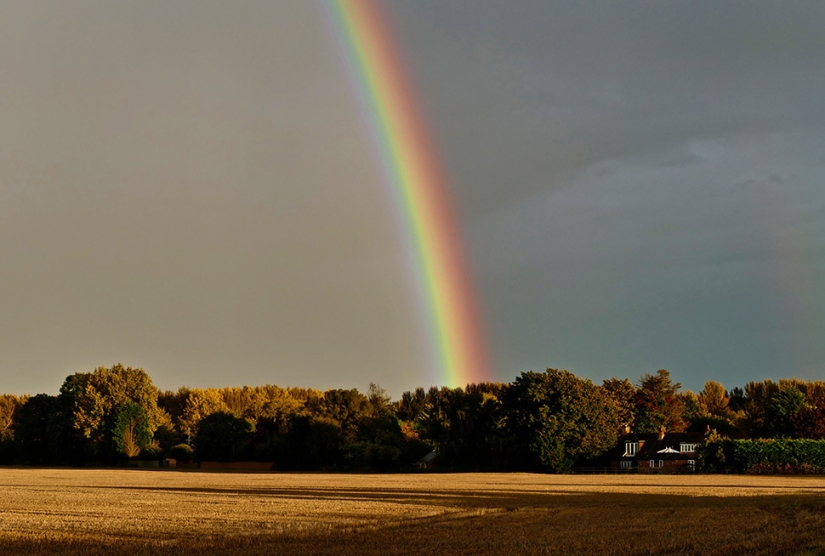 12 little-known names for things that everyone knows 12 little-known names for things that everyone knows