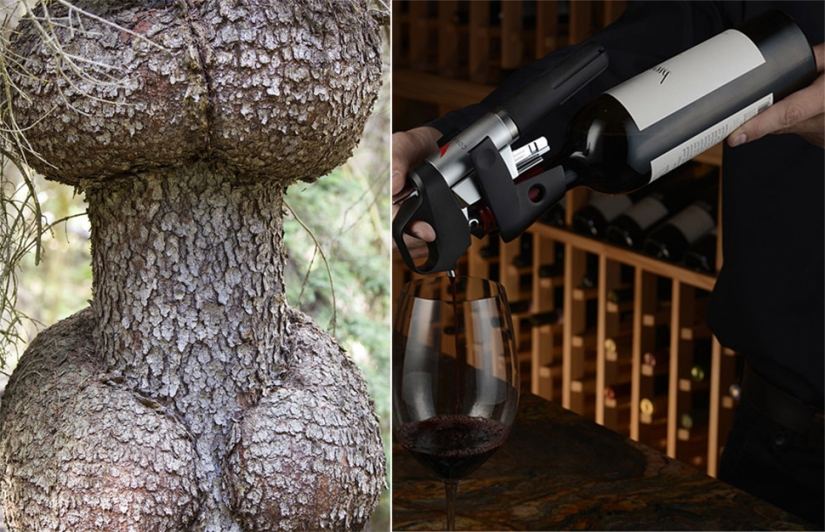 12 nombres poco conocidos para cosas que todos conocen