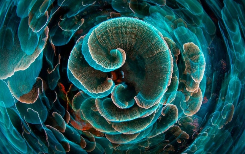 12 photos of rare beauty that you can look at for hours 12 photos of rare beauty that you can look at for hours