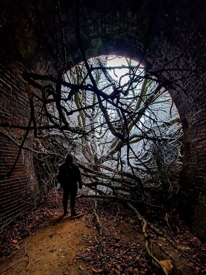 12 photos of rare beauty that you can look at for hours 12 photos of rare beauty that you can look at for hours