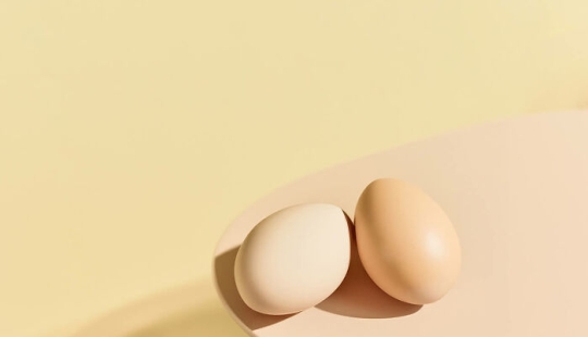 12 Talented Photographers Who Won The AAP Magazine Awards: "Shapes"