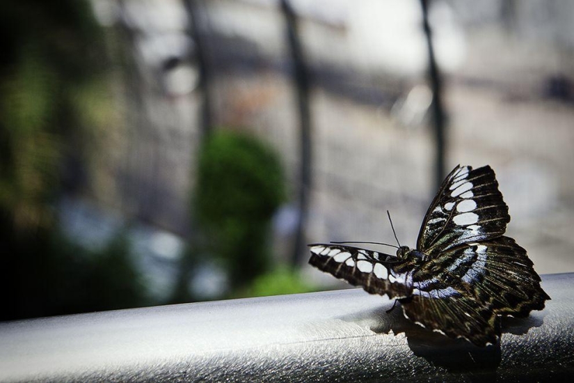 13 aeropuertos del mundo donde pasar un buen rato