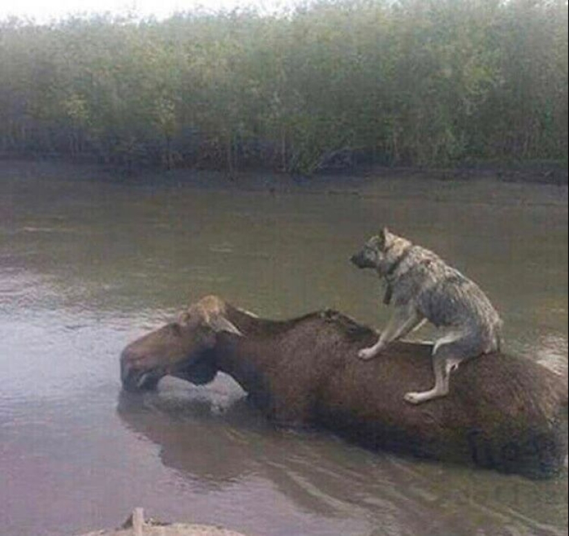 13 “Cursed Images” That Give Off An Uneasy Vibe, As Shared By This Instagram Page 13 “Cursed Images” That Give Off An Uneasy Vibe, As Shared By This Instagram Page