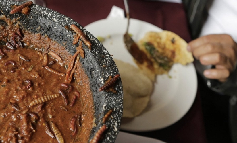 13 extreme dishes that not everyone dares to try