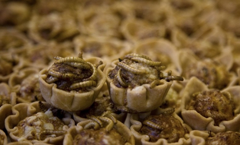 13 extreme dishes that not everyone dares to try