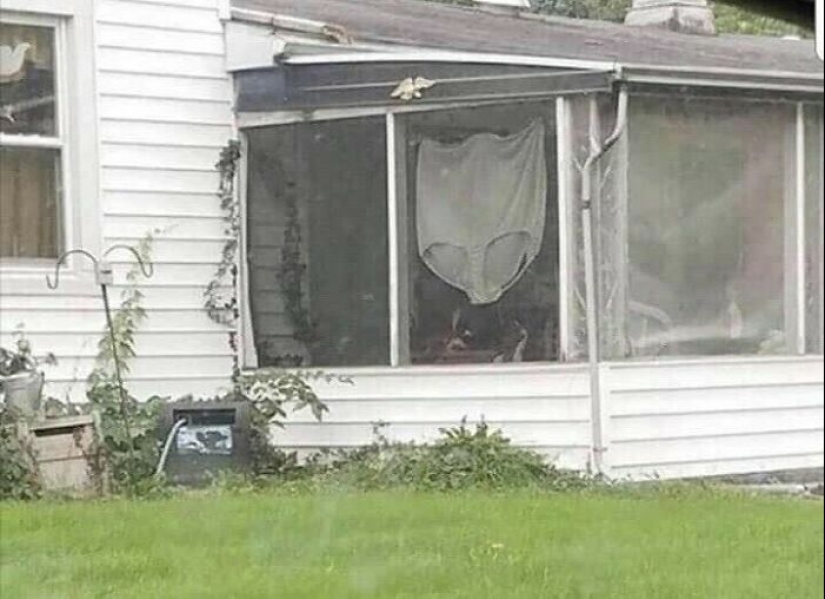 13 "imágenes malditas" que emiten una vibra incómoda, según lo compartido por esta página de Instagram