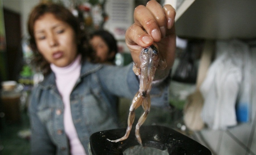 13 platos extremos que no todo el mundo se atreve a probar