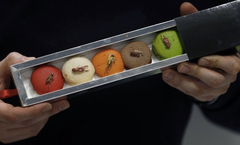 13 platos extremos que no todo el mundo se atreve a probar