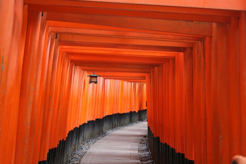 14 best works from the National Geographic children's photo contest 14 best works from the National Geographic children's photo contest
