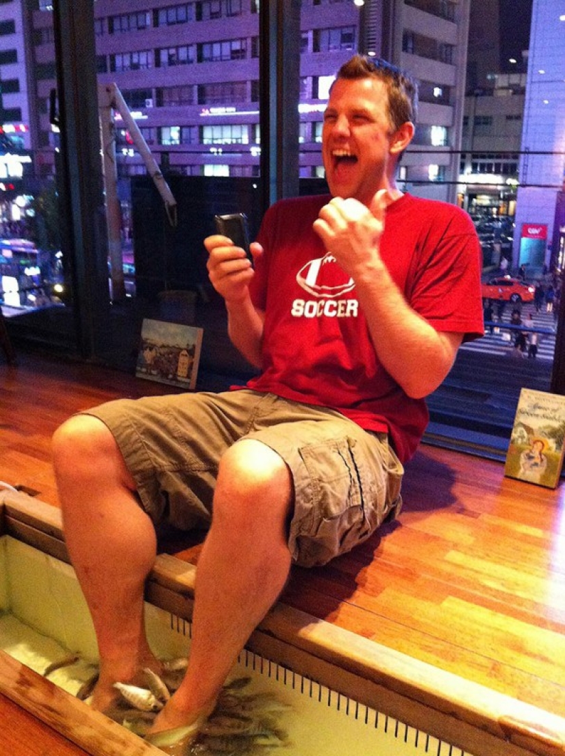 14 cafés temáticos únicos en Seúl