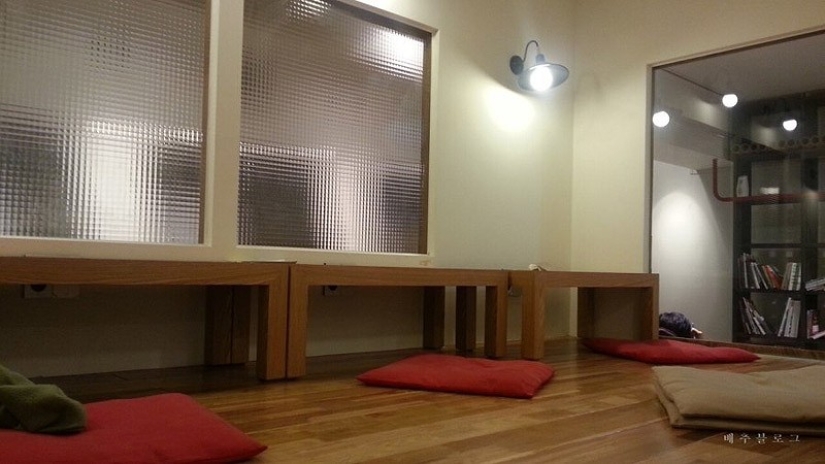 14 cafés temáticos únicos en Seúl