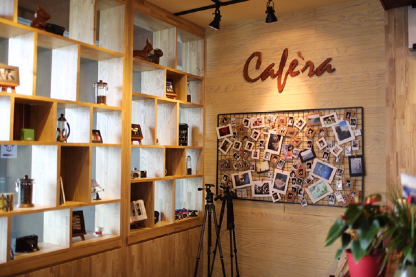 14 cafés temáticos únicos en Seúl