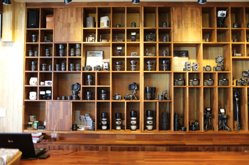 14 cafés temáticos únicos en Seúl