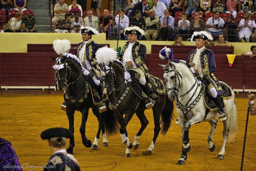 14 Curious Facts About Portuguese Bullfighting