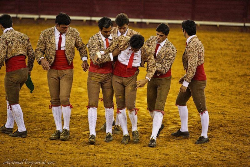 14 Curious Facts About Portuguese Bullfighting