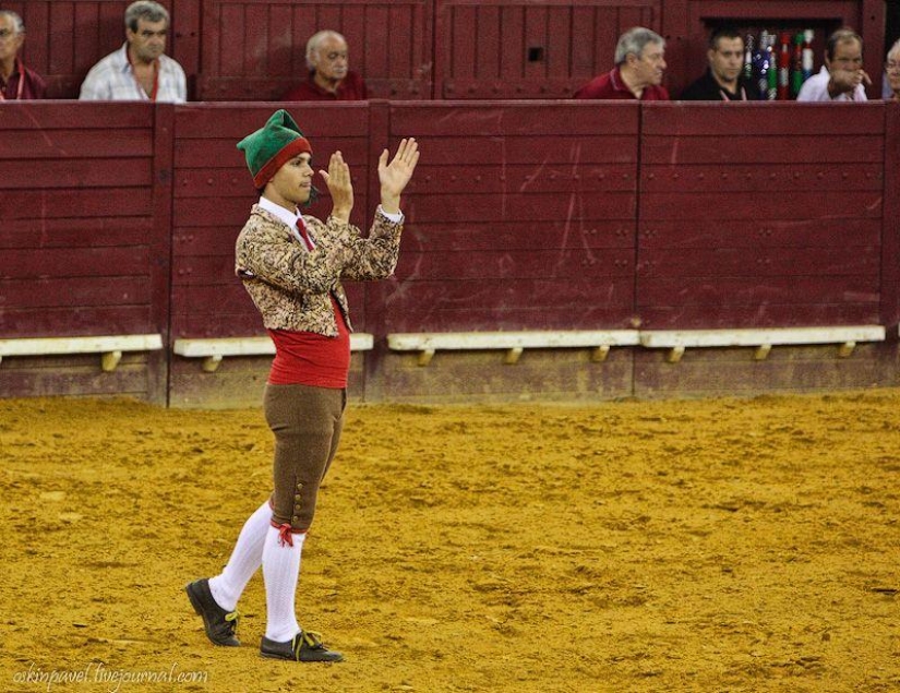 14 datos curiosos sobre la tauromaquia portuguesa 14 datos curiosos sobre la tauromaquia portuguesa