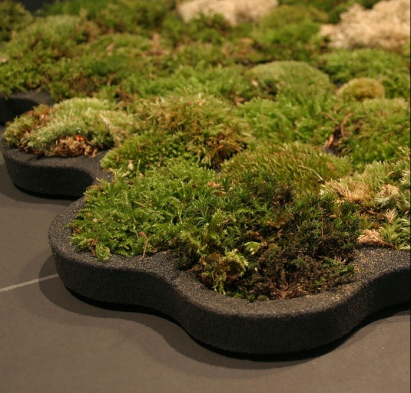 14 increíbles ideas de diseño de baño