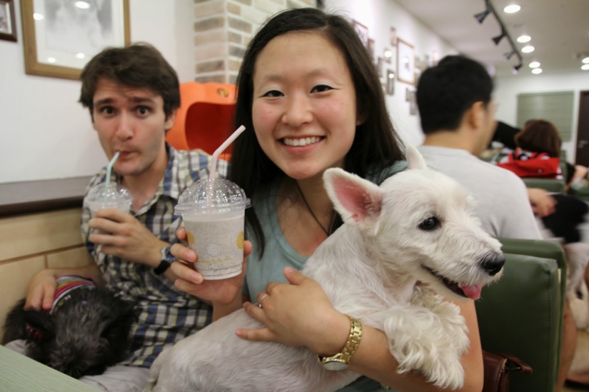 14 unique themed cafes in Seoul