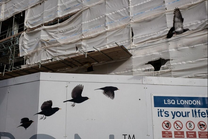 15 Best Coincidences Captured By This Street Photographer