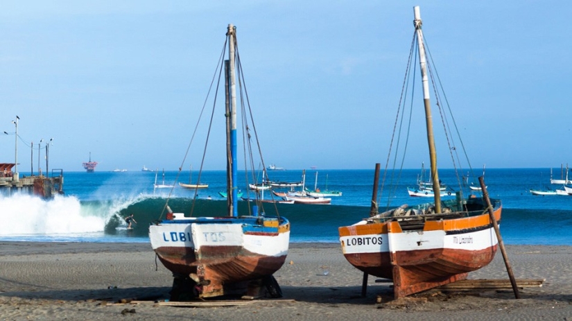 15 best shots of 2014 from the extreme Forest Woodward