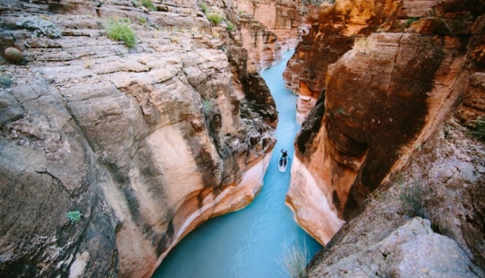 15 best shots of 2014 from the extreme Forest Woodward