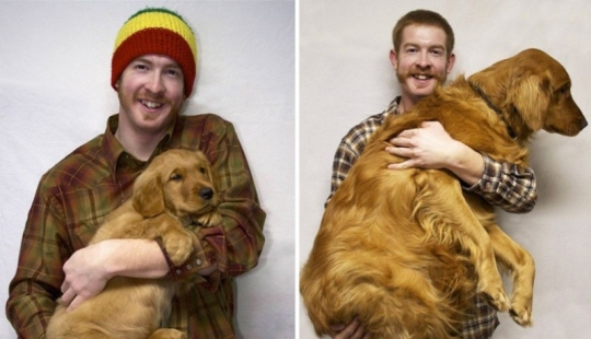 15 cachorros que crecieron demasiado rápido