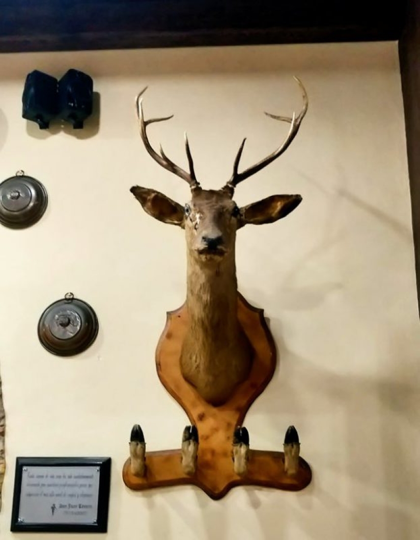 15 cosas cuyos autores saben trabajar con las manos, pero no son amigos con la cabeza