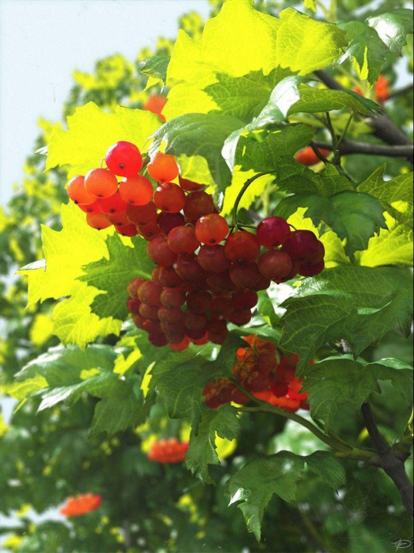 15 Digital Images That Surprisingly Look Like Photos 15 Digital Images That Surprisingly Look Like Photos