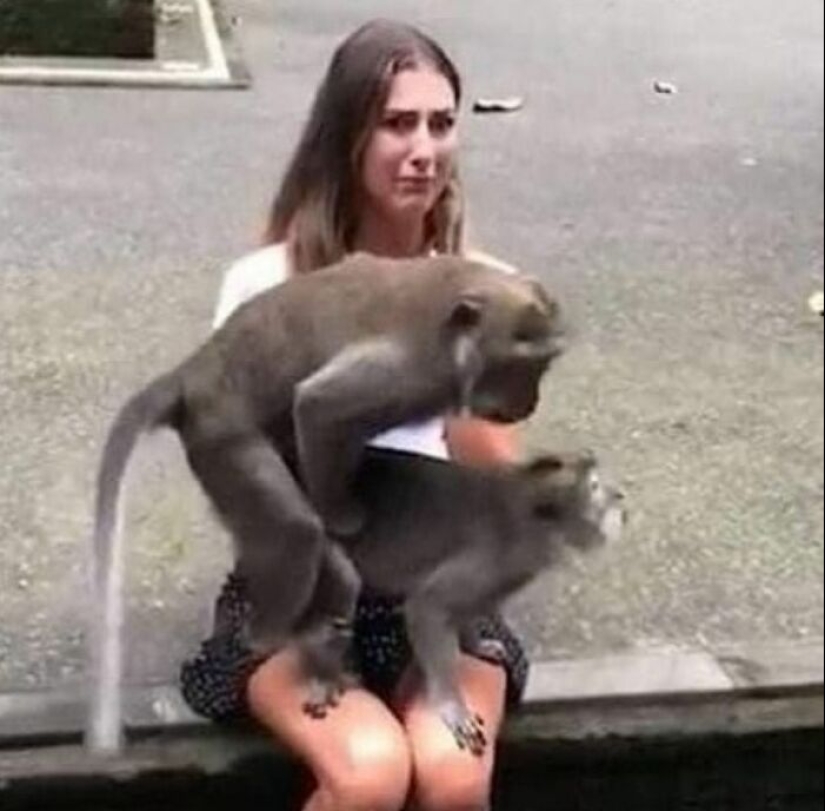 15 fotografías de personas que tuvieron un día peor que tú, compartidas en esta página de Facebook 15 fotografías de personas que tuvieron un día peor que tú, compartidas en esta página de Facebook