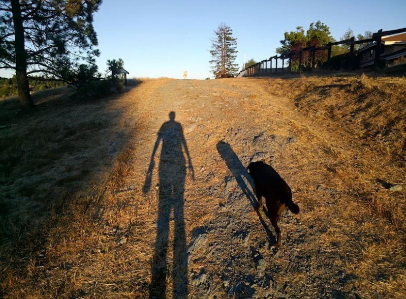 15 images proving that Google Glass will change the future of photography 15 images proving that Google Glass will change the future of photography