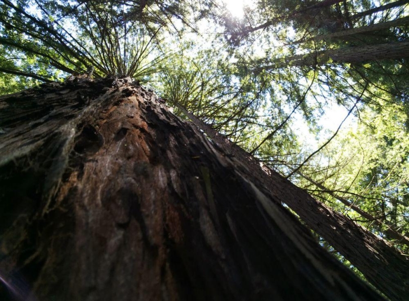 15 images proving that Google Glass will change the future of photography 15 images proving that Google Glass will change the future of photography